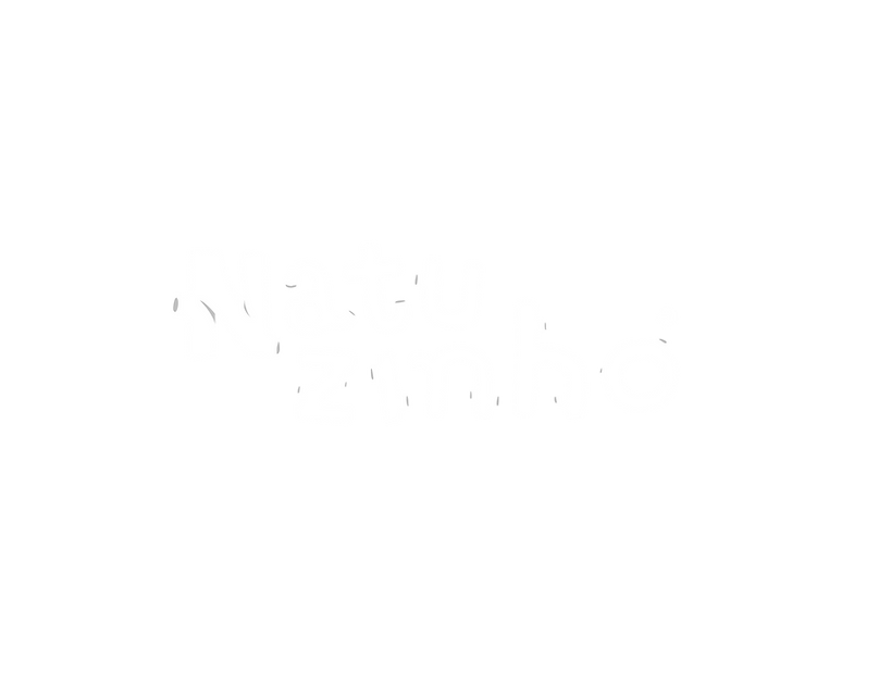 Natuzinho